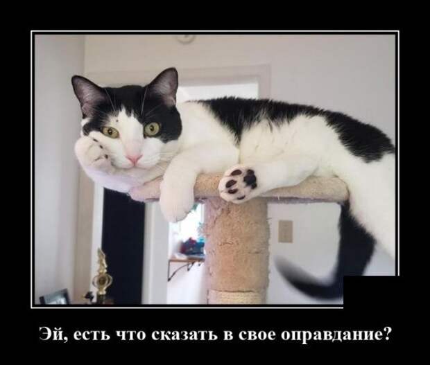 demotivatory-demotivator-smeshnye-demotivatory-demotivator-so-smyslom