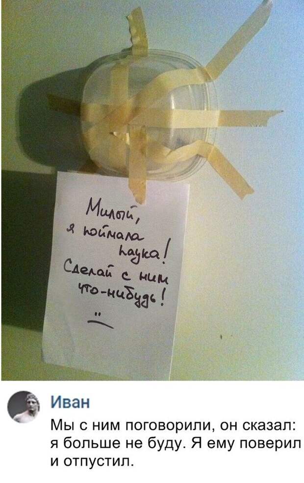 Прикольные и смешные картинки картинки, прикол, юмор