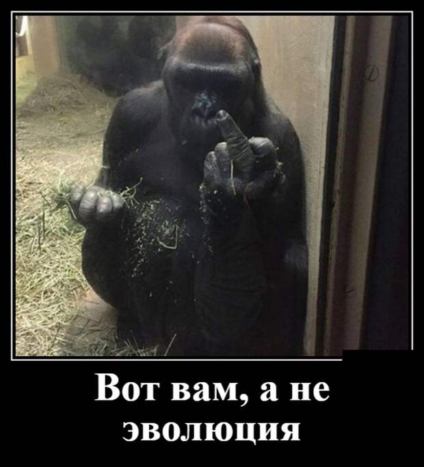 Демотиваторы (30 фото)