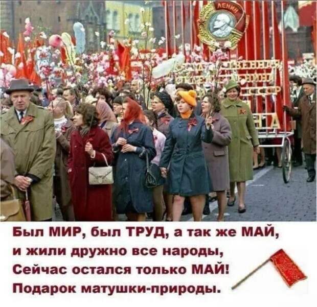 20b9fbeb-52ac-4e25-9495-860b3d442bea.jpg