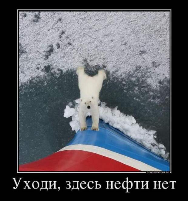 Немного новых демотиваторов