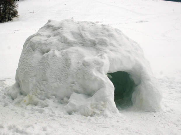 Такое снежное временное жилище в какой-то степени защитит вас от ветра и мороза.