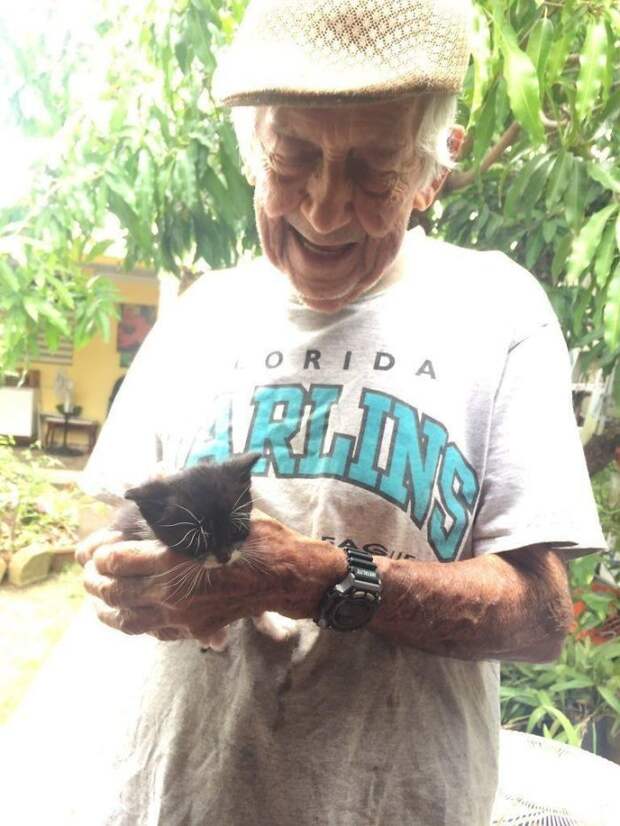 Это 85-летний Джимми, который решил приютить кошку с маленькими котятами - несмотря на то, что его жена всегда выступала против кошек котята, помощь животным