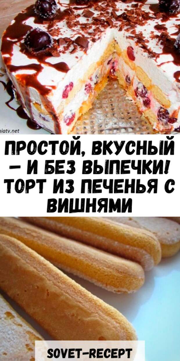 Простой, ВКУСНЫЙ – и без выпечки! Торт из ПЕЧЕНЬЯ с ВИШНЯМИ