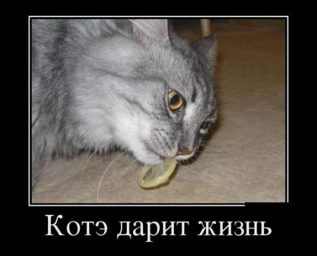 Обо всём.