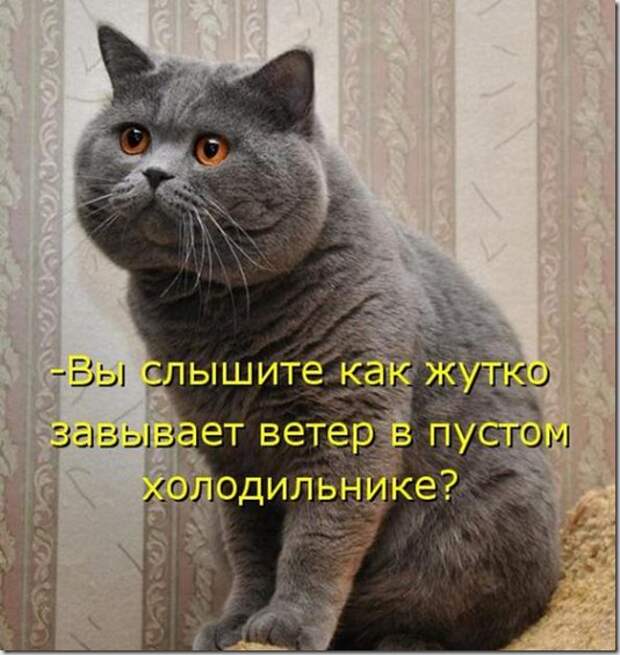 4f4dc836b52be7d4c578870fb6b_prev