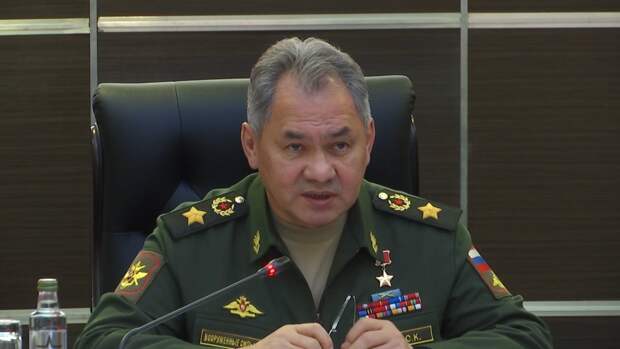 Шойгу стал наставником финалиста конкурса управленцев «Лидеры России»
