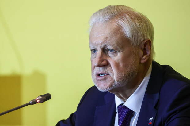 Миронов призвал граждан отказаться от пиротехники в новогодние праздники