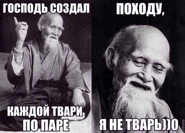 tv5ZBYsIJaU