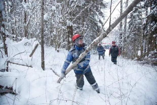 В Тамбовской области восстановили электроснабжение в ряде округов после непогоды