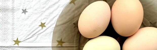 В Алматинской области идет проверка двух птицефабрик