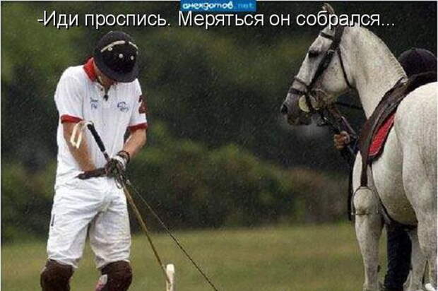 Котоматрицы (50 штук) Котоматрицы (50 штук)