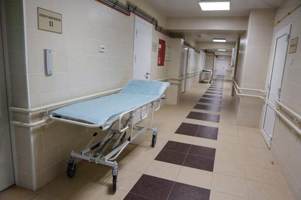 Бастрыкин поручил доложить о проверке инцидента с избиением 12-летней девочки