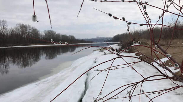 Эколог Рыбальченко пообещал весной аквапарк на улицах в Центральной России