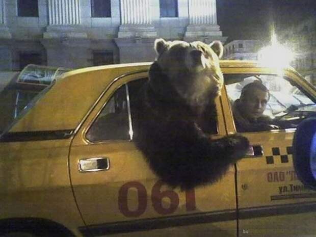 Все в порядке, вы в России!