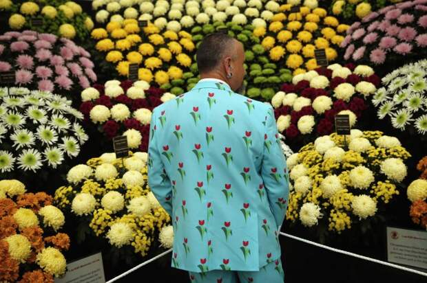 Выставка цветов «Chelsea Flower Show 2014»