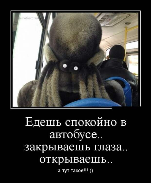 Обо всём.