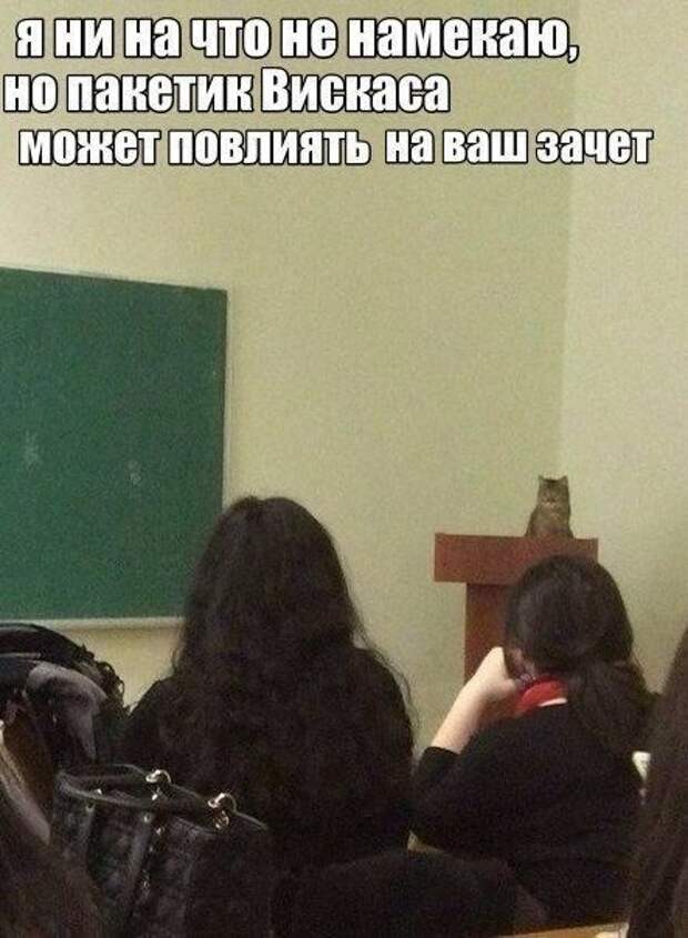 Картинки со смешными подписями