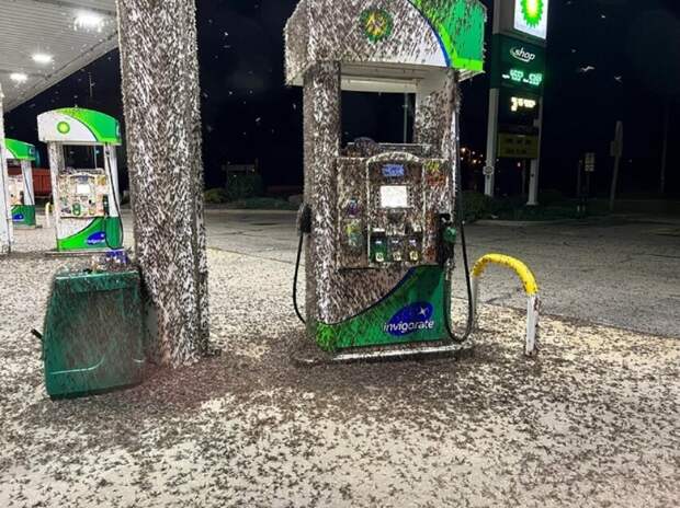 Так выглядит неудача: фотографии неприятных ситуаций, которые могут поджидать каждого