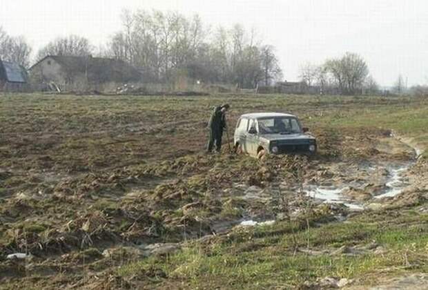 Приезжайте к нам в колхоз - куры, дуры и навоз