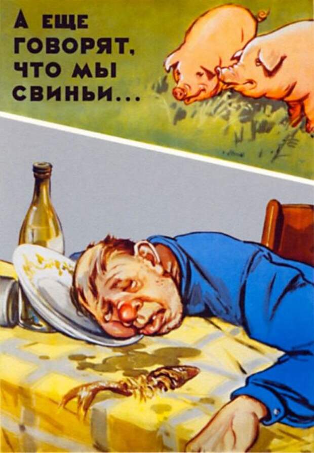 Сравнение пьяного парня со свиньями.