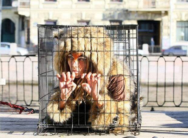 В Петербурге пройдёт марш Животные – не одежда