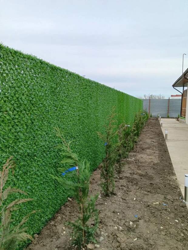 В чём самая большая проблема соседских отношений? Как соблюсти дружбу, уважение, желание не обидеть и естественное желание иметь на своём участке хоть немного, чуточку, капельку приватности.-5