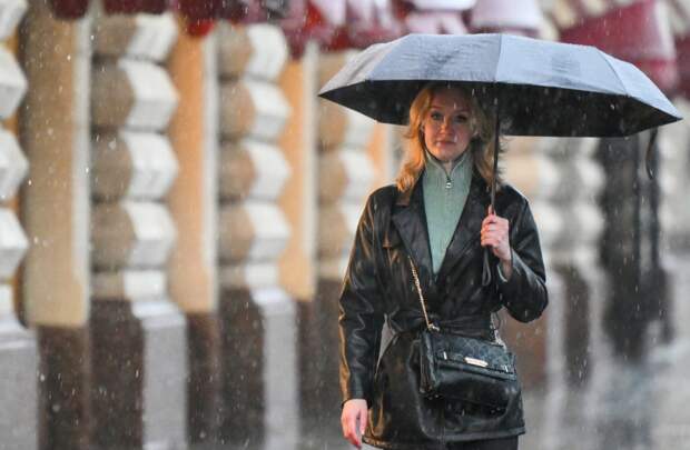 Москвичам рассказали о погоде на выходных