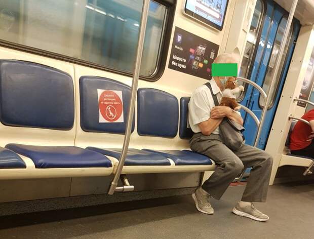 По серой ветке метро ехал пожилой пассажир с необычным другом