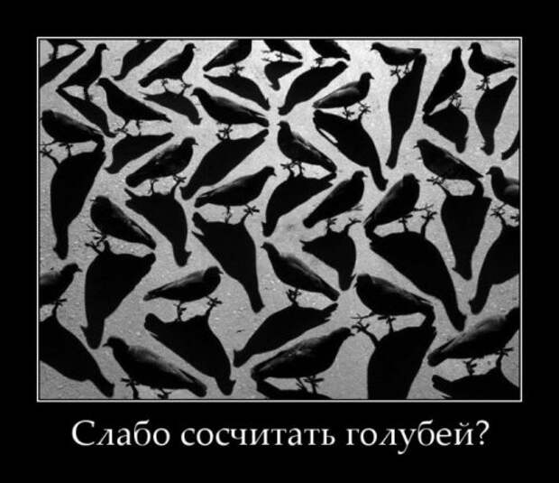 Демотиваторы смешные новые (22 шт)