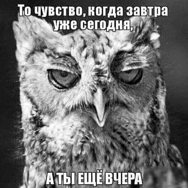 Смешные и познавательные картинки