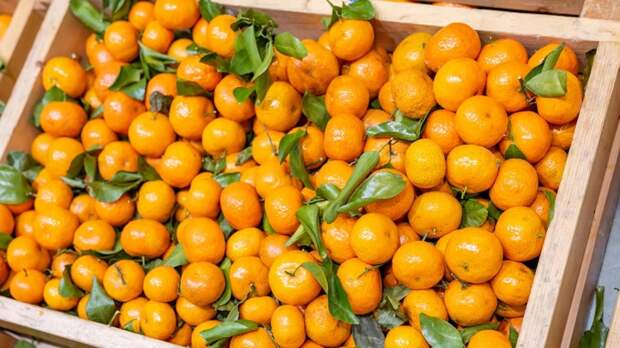Турция стала главным поставщиком мандаринов в Россию