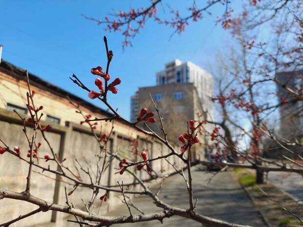 Владивосток уверенно перешёл на сторону тепла