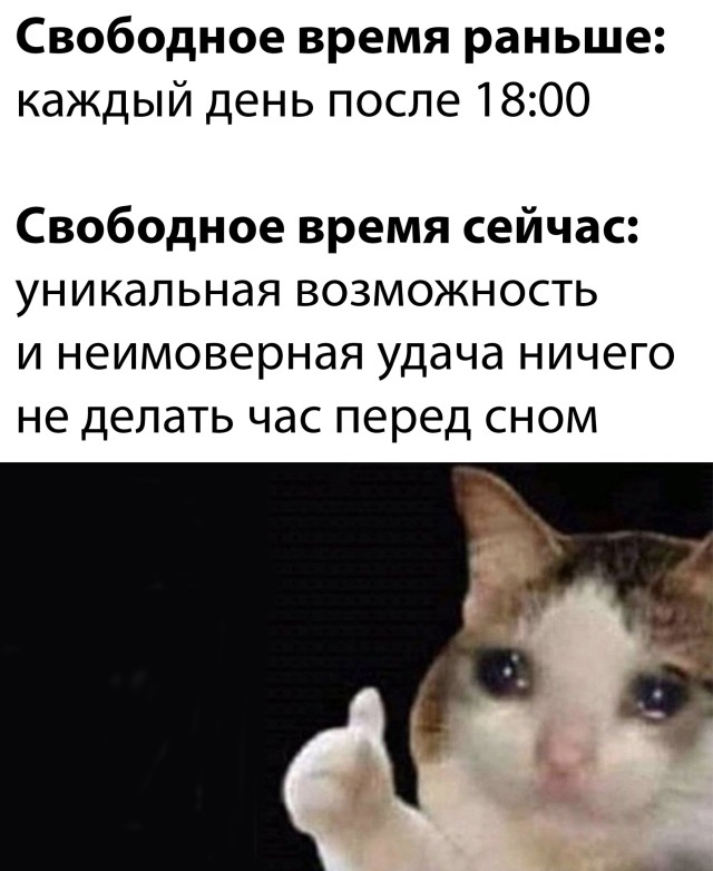 Смешные картинки 17 декабря 2021 года