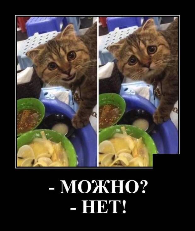 Демотиваторы (20 фото)