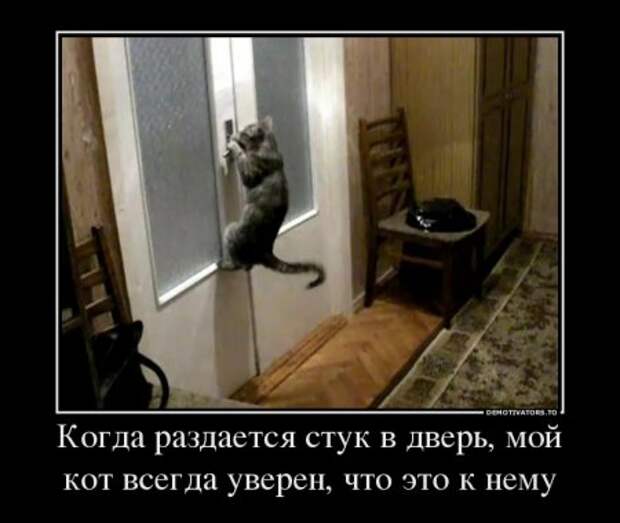 Демотиваторы и приколы атакуют!!!