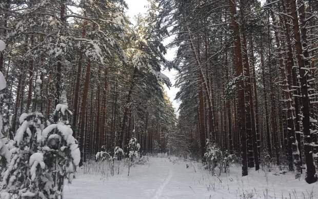 В Елатьме Рязанской области зафиксировали -24,8°С
