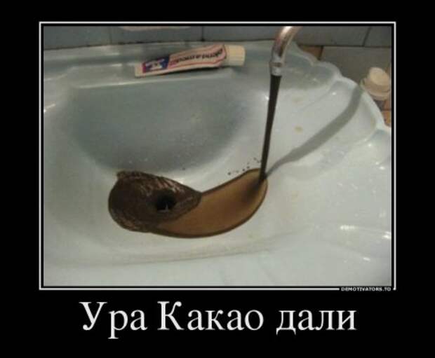 Долой трусы, смотри прикольные демотиваторы.