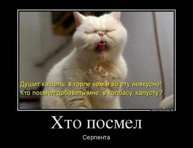 Демотиваторы, наши прикольные цитаты.