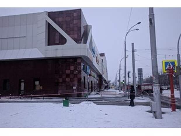 Карта зимней вишни в майнкрафте