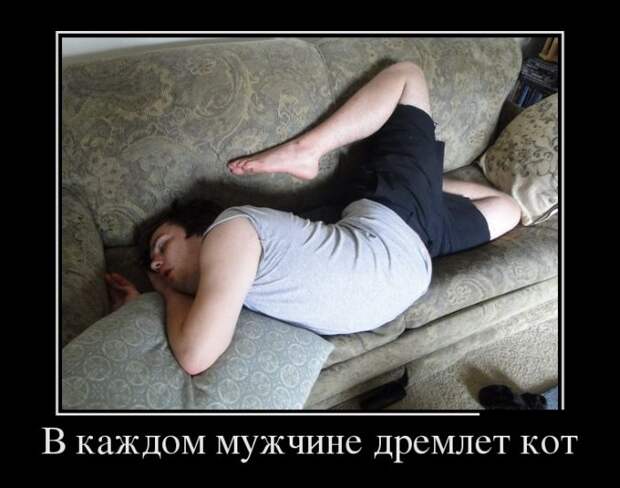 Демотиваторы (30 фото)