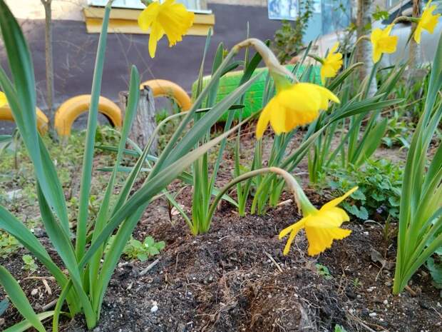 Завтра в Астрахани чуть прохладнее