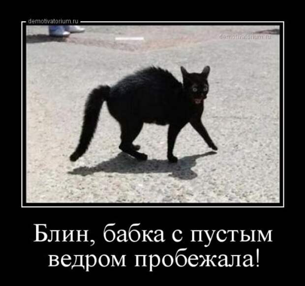 Демотиваторы-приколы (13 шт)