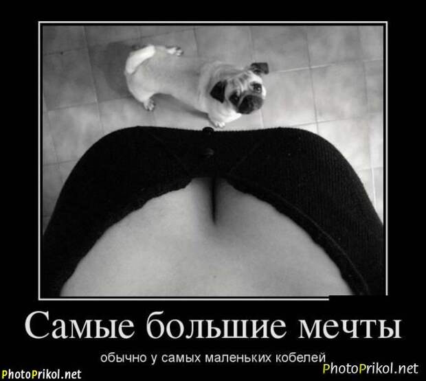Новые демотиваторы со смыслом (30 картинок)