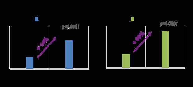 Эффективность Сорбифер Дурулес