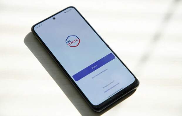 Туляки могут заранее заполнить заявление в первый класс на "Госуслугах"