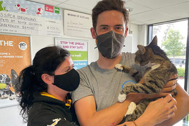 Пропавший кот вернулся к хозяевам спустя десять лет Пропавший кот вернулся к хозяевам спустя десять лет