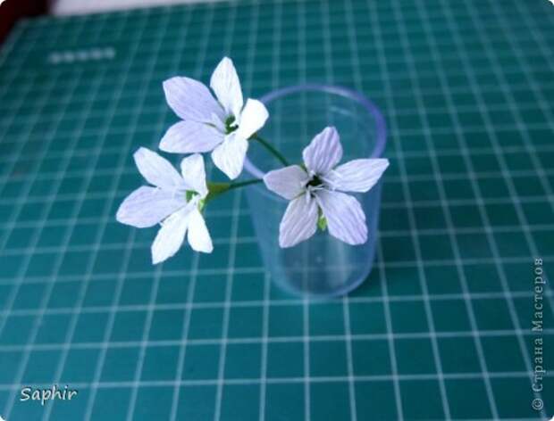 Мастер-класс Бумагопластика Маленькие цветочки из бумаги Кристал  Бумага гофрированная фото 11