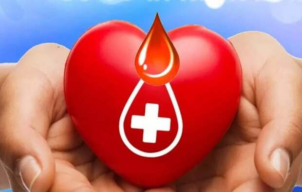 История Всемирного дня донора крови, который отмечается 14 июня 2024 года