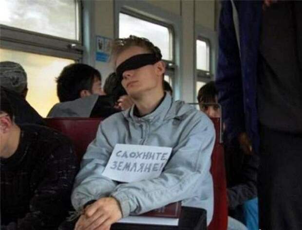 Прикольные картинки